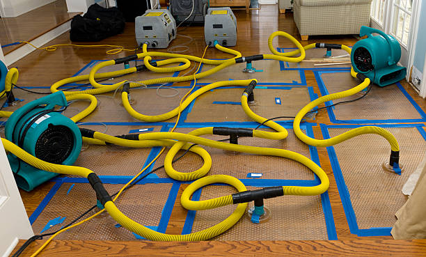 Professional Storm Water Damage Restoration technician working in Manassas, VA